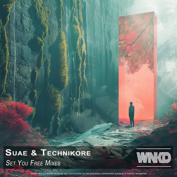 Set You Free Mixes