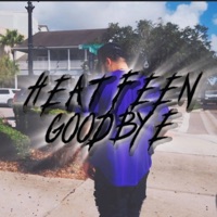Goodbye - Single - Heatfeen