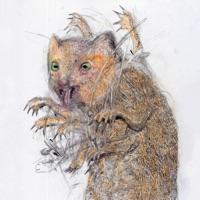 Mongoose - thayerperiod