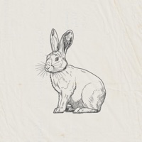 rabbit - Single - bad at math.