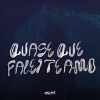 QUASE QUE FALEI TE AMO - Single - Wallace DJ