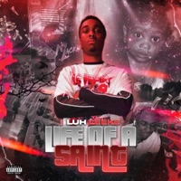 Life Of A Saint - Luh Leeke