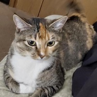 grind - Single - ar!$in