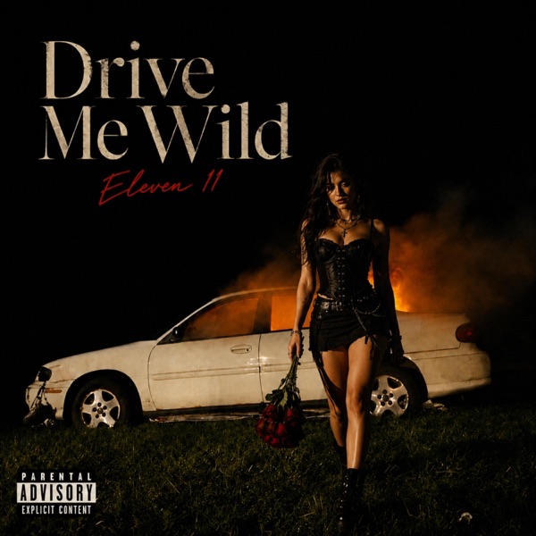 Drive Me Wild