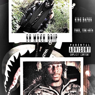 So Much Drip (feat. YDM Arfa) - Single