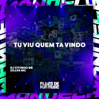 Tu Viu Quem Ta Vindo - Single - DJ Vitinho BR & Silva MC