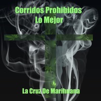 Cruz de Marihuana