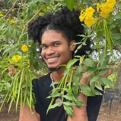 Butterflies - Single