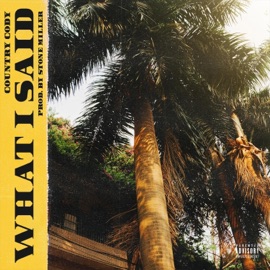 What I Said Country Cody