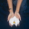 orchids (lullabies) - EP
