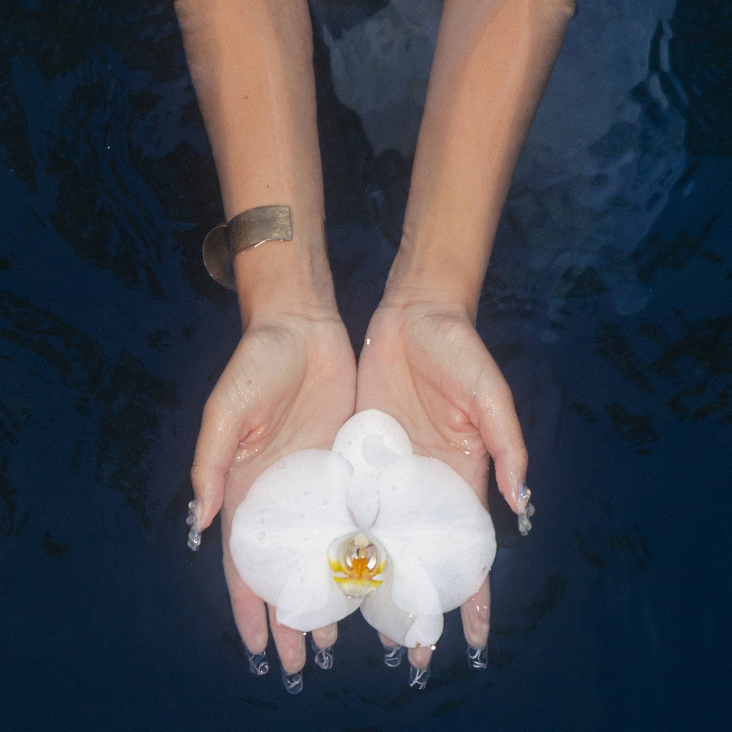 orchids (lullabies) - EP