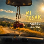 MI TESAK (feat. 3.33 & Feliks Khachatryan) [Serjo Remix] - Single