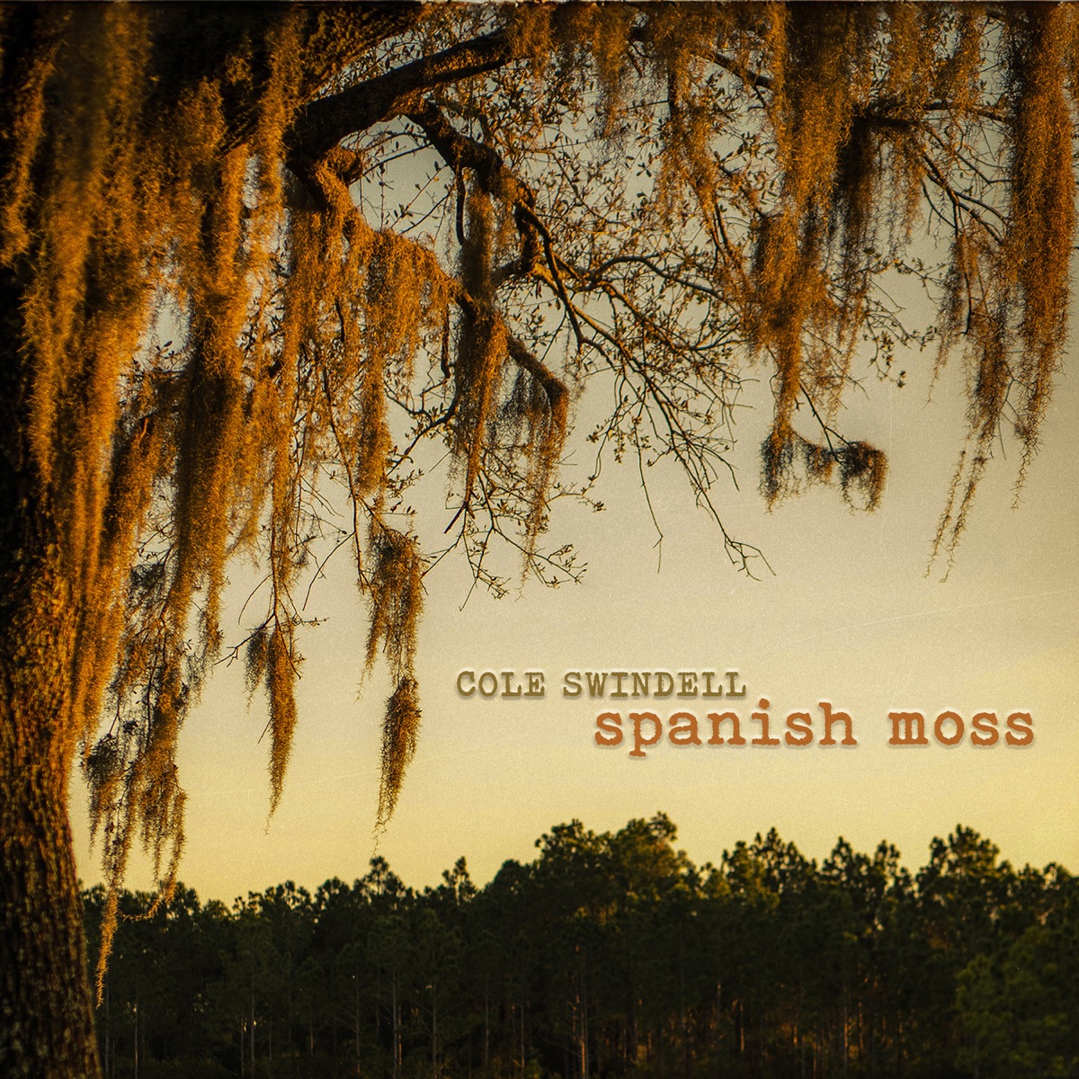 Cole Swindell - Spanish Moss (2025) [iTunes Plus AAC M4A]-新房子