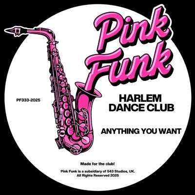 Anything You Want - Single
