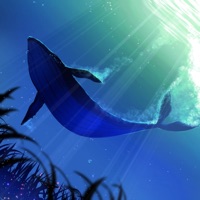 Hate Love! - Single - I'm Geist, Edacity & Shinigami