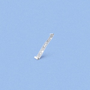 Receipts - Single