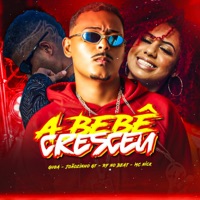 A Bebê Cresceu - Single - Joãozinho GT, Guga & Mc Nick