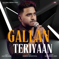 Gallan Teriyaan (feat. Ajay Brijwasi) - Single - Sudhanshu Joshi