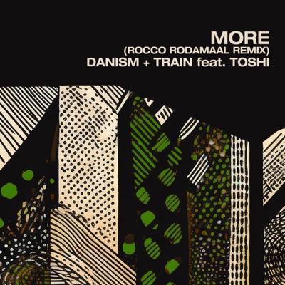 More (Rocco Rodamaal Remixes) [feat. Toshi] - Single