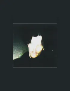 Ascolta LA LEUF, guarda video musicali, leggi la biografia, vedi le date del tour & altro!