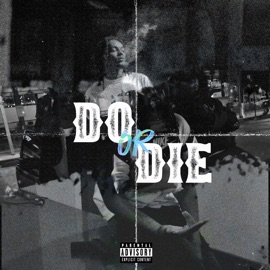 Do Or Die Vozzy