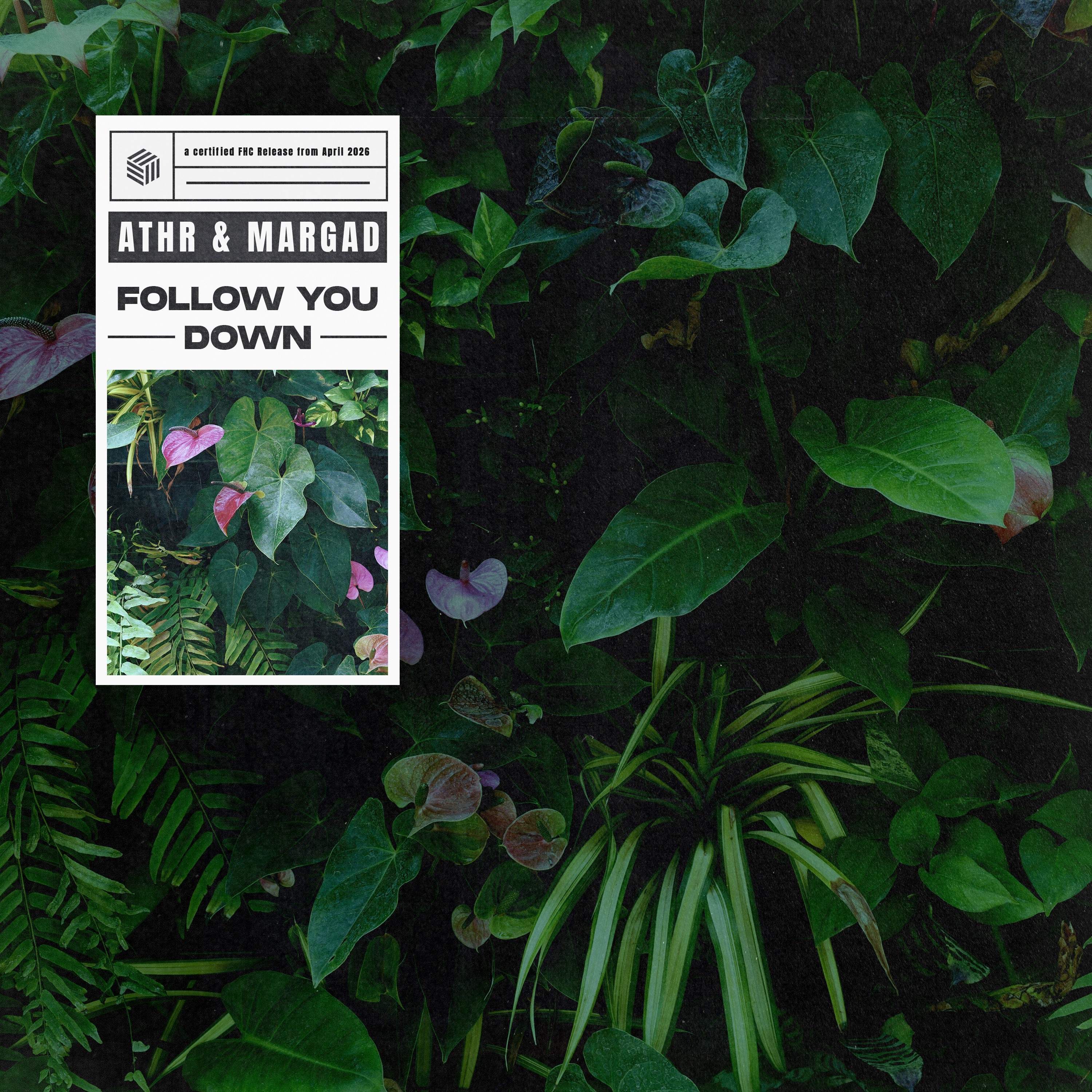Follow You Down - Single