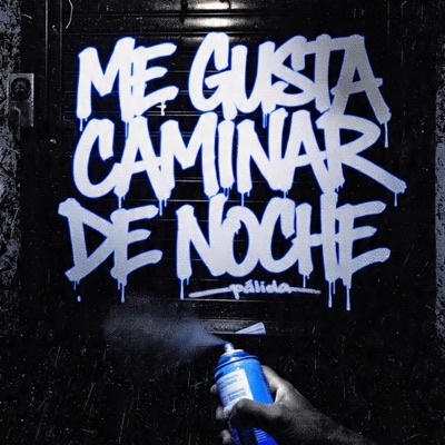 Me Gusta Caminar De Noche - Single