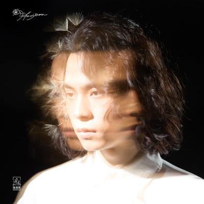 昨晚我夢見這裡