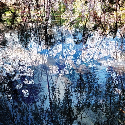 See Creatures Live in Shreveport (Live)