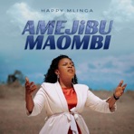 Amejibu Maombi - Single