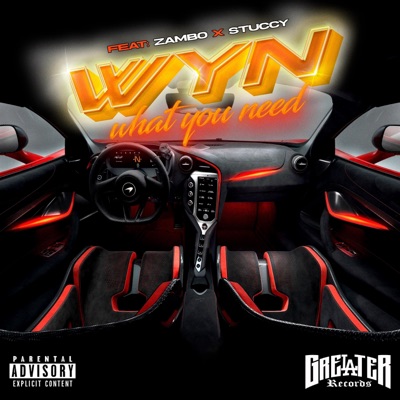 What you need (feat. Zambo & Stuccy) - Single