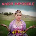 Amor Amor