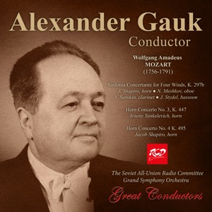 Horn Concerto No. 3 in E-Flat Major, K. 447: III. Allegro