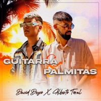 Guitarra y Palmitas - Single - David Deseo, Alberto Toral & Ozarus