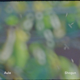 Shogun (feat. allanwhy) Aule