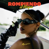 Rompiendo El Bloque - Single - MEIMI
