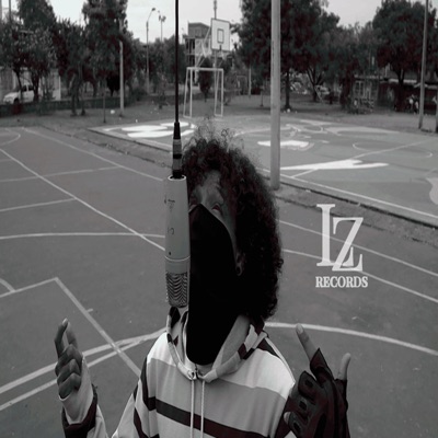 VOLVER A VERTE - Single
