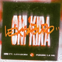 Perdre la vie (feat. Lexsaburo) - Single - Oni Kira