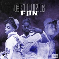 Ceiling Fan (feat. D.Raww & OT Helix) - Single - CFO Guapo
