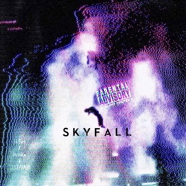 Skyfall (feat. $tizzieRae & ITSJPBABY) Lil Burt
