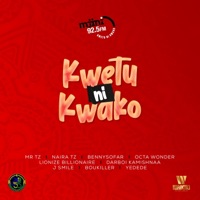 Kwetu ni Kwako (feat. Naira Tz, BennySoFar, Octa Wonder, Lionize Billionaire, DarBoi Kamishnaa, J Smile, BouKiller & Yedede) - Single - Mr.Tz