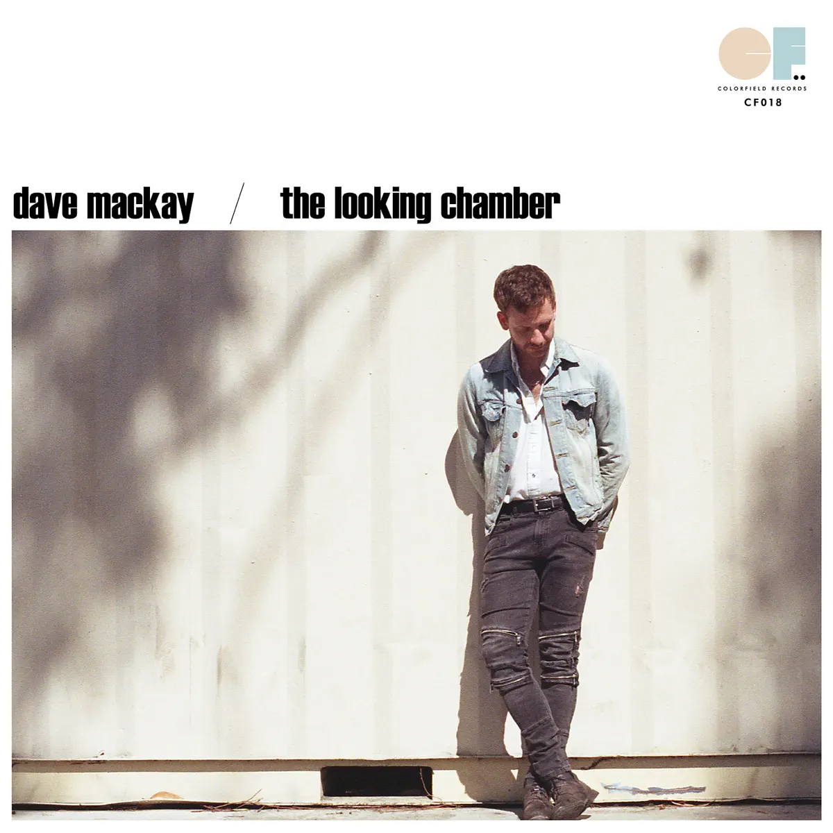 Dave Mackay - The Looking Chamber (2024) [iTunes Plus AAC M4A]-新房子