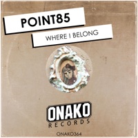 Where I Belong - Single - Point85