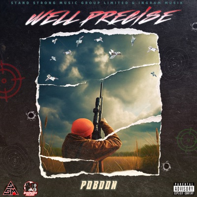 Well Precise - Single