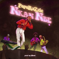 Nkan Nbe - Single - PapaRaZzle