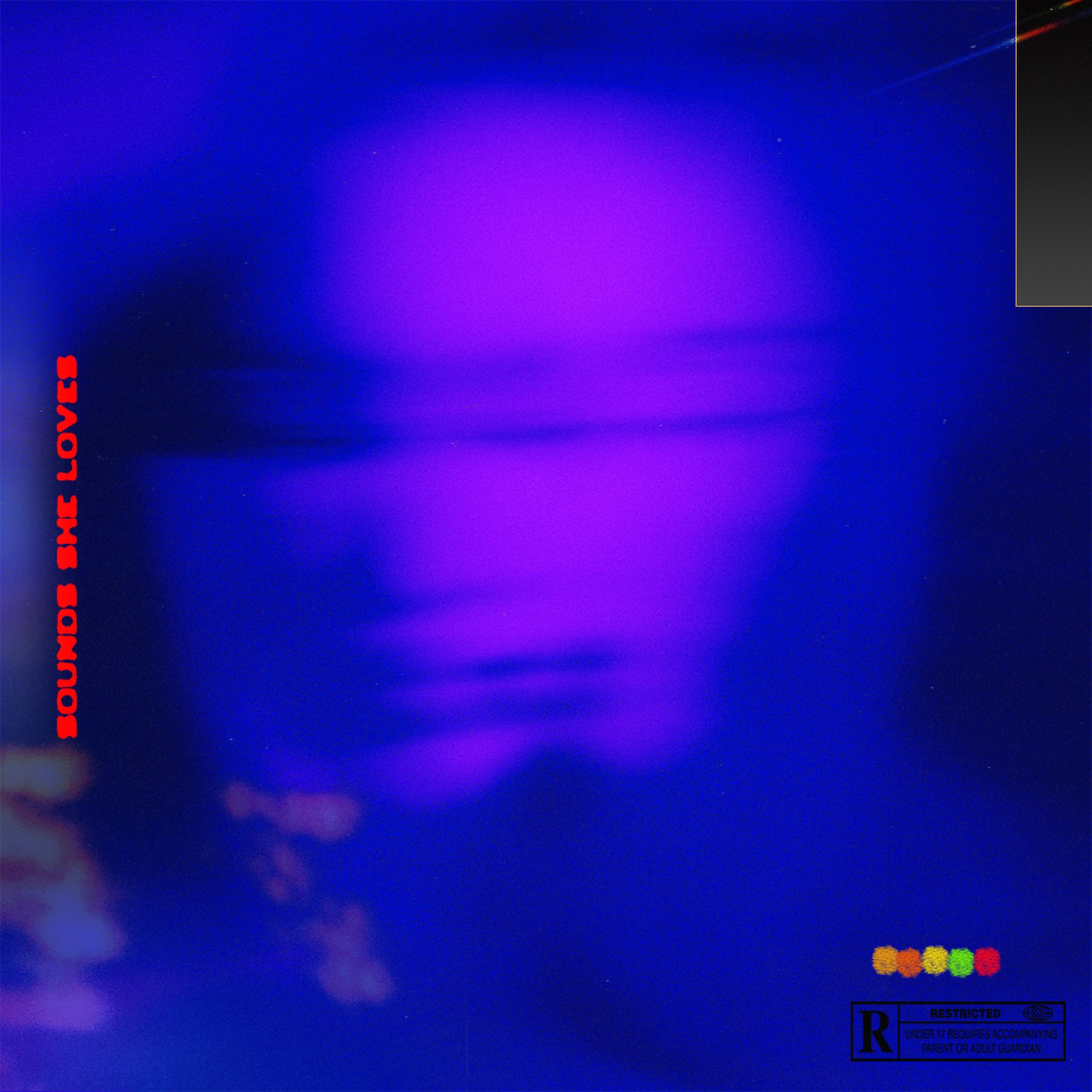 Sounds She Loves - EP