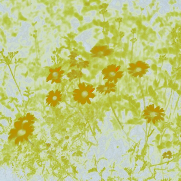 Afterparty by Claudia Bouvette, Noche, Bevi on Go Proud