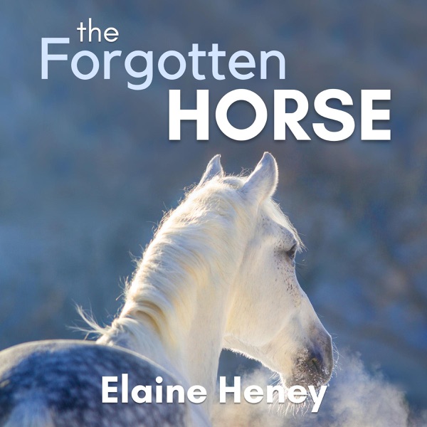 The Forgotten Horse: Connemara Horse Adventure Series for Kids, Book 1 cover