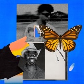 Butterflies artwork