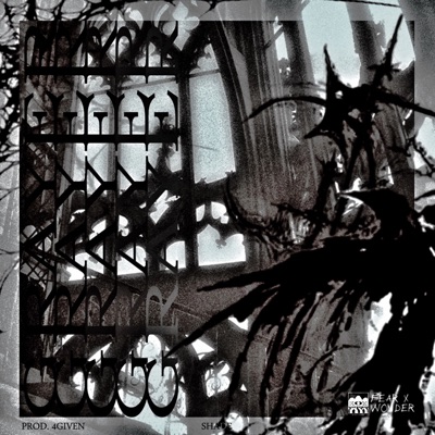 GRAYER - Single